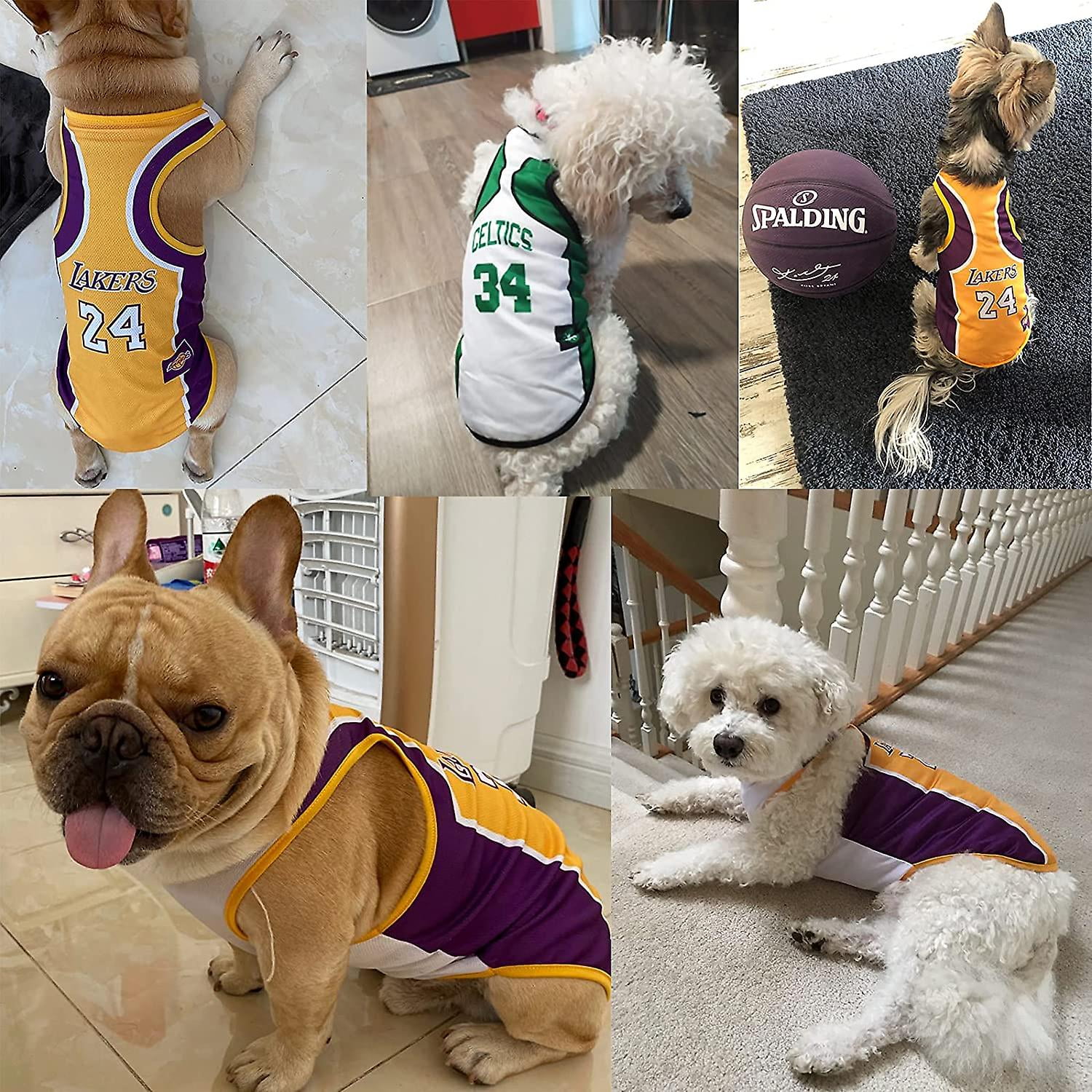 Bulldog jersey for dogs online