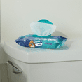 Charmin Flushable Adult Wet Wipes, 320 Disposable Personal Body Wipes