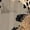 CZC157, variant on Animal Print Abstract Pattern Women Dress V-Neck Short Sleeve Flowy Swing Party Midi Dress