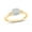 14KT Yellow Gold Vermeil Plated Silver, variant on Cali Trove 1/6 Ct Natural Diamond Promise Ring for Women 925 Sterling Silver Cushion Cluster with Round Diamond Accents Split Shank Jewelry Gift for Her