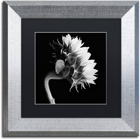 Michael Harrison 'Sunflower' Black Matted Framed Art