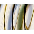 thumbnail image 2 of Cooke, William 14x12 Gold Ornate Wood Framed with Double Matting Museum Art Print Titled - Silk Waves I, 2 of 4