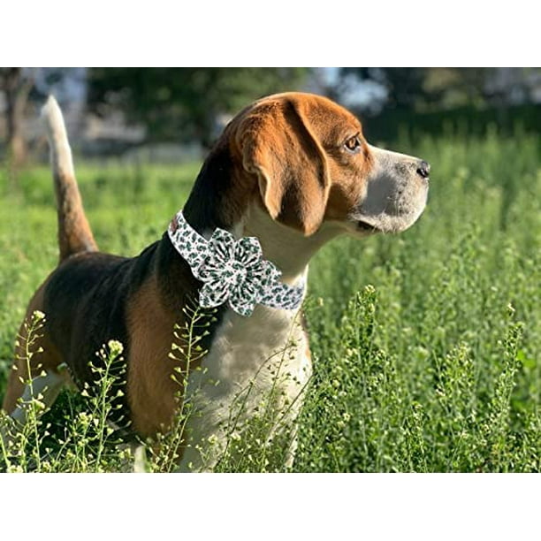 HHHC Christmas Dog Collar Female or Male Dog Collar Flower Pet Collar Adjustable Dog Collars with Flower for Small Medium Large Dogs Walmart