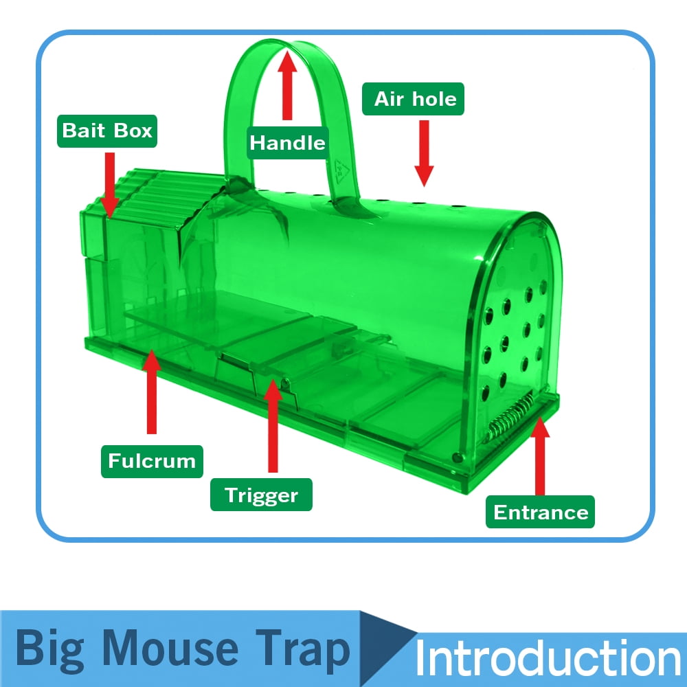 2 Pack Enlarged Humane Mouse Traps No Kill Rat Trap with Handle, Reusable  Catch and Release Chipmunk Trap, Pet and Children Friendly Mice Trap That