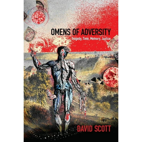 Omens of Adversity: Tragedy, Time, Memory, Justice, (Paperback)