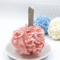 thumbnail image 5 of jiaroswwei Shower Sponge Exfoliating Scrub Rich Foam PE Gentle Washing Bath Mesh Brush Bathroom Supplies, 5 of 8