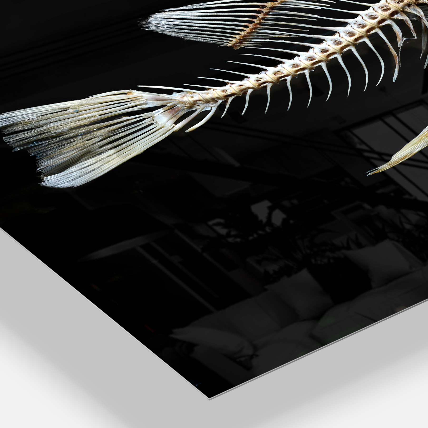 Fish Skeleton Bone on Black 28 in x 60 in Painting Art Prints, by Designart