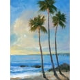 thumbnail image 2 of OToole, Tim 15x18 Black Ornate Wood Framed with Double Matting Museum Art Print Titled - Tropical Breeze II, 2 of 4
