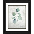 thumbnail image 1 of Talent, Kelley 12x14 Black Ornate Wood Framed with Double Matting Museum Art Print Titled - Eucalyptus Branch, 1 of 4