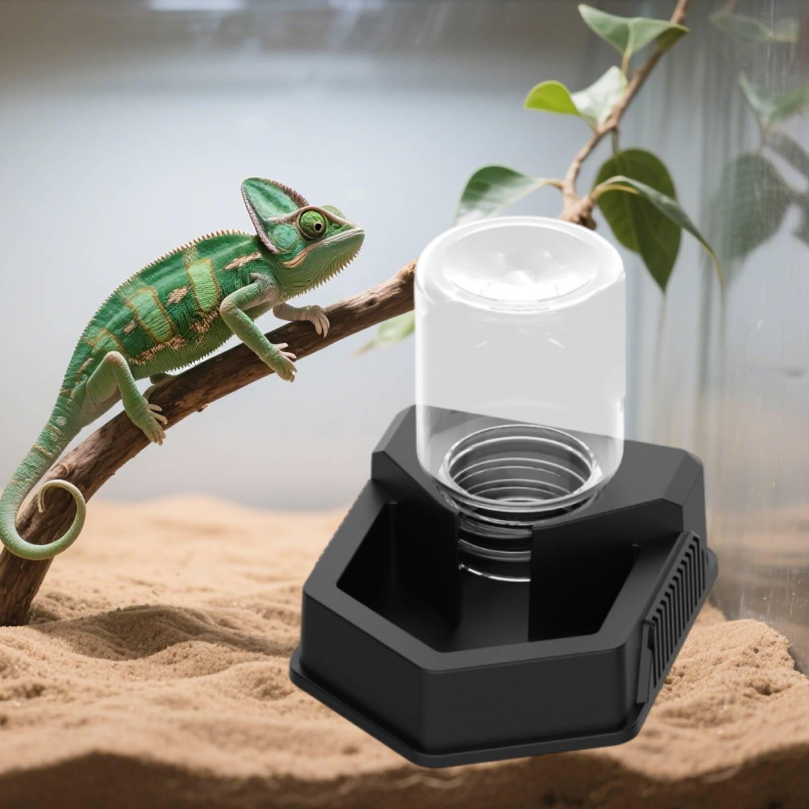 Serenable Reptile Food Feeder Bowl Feeding Accessories High Performance Pet Supplies Water Dispenser Drinking Tool for Tortoise Geckos Black