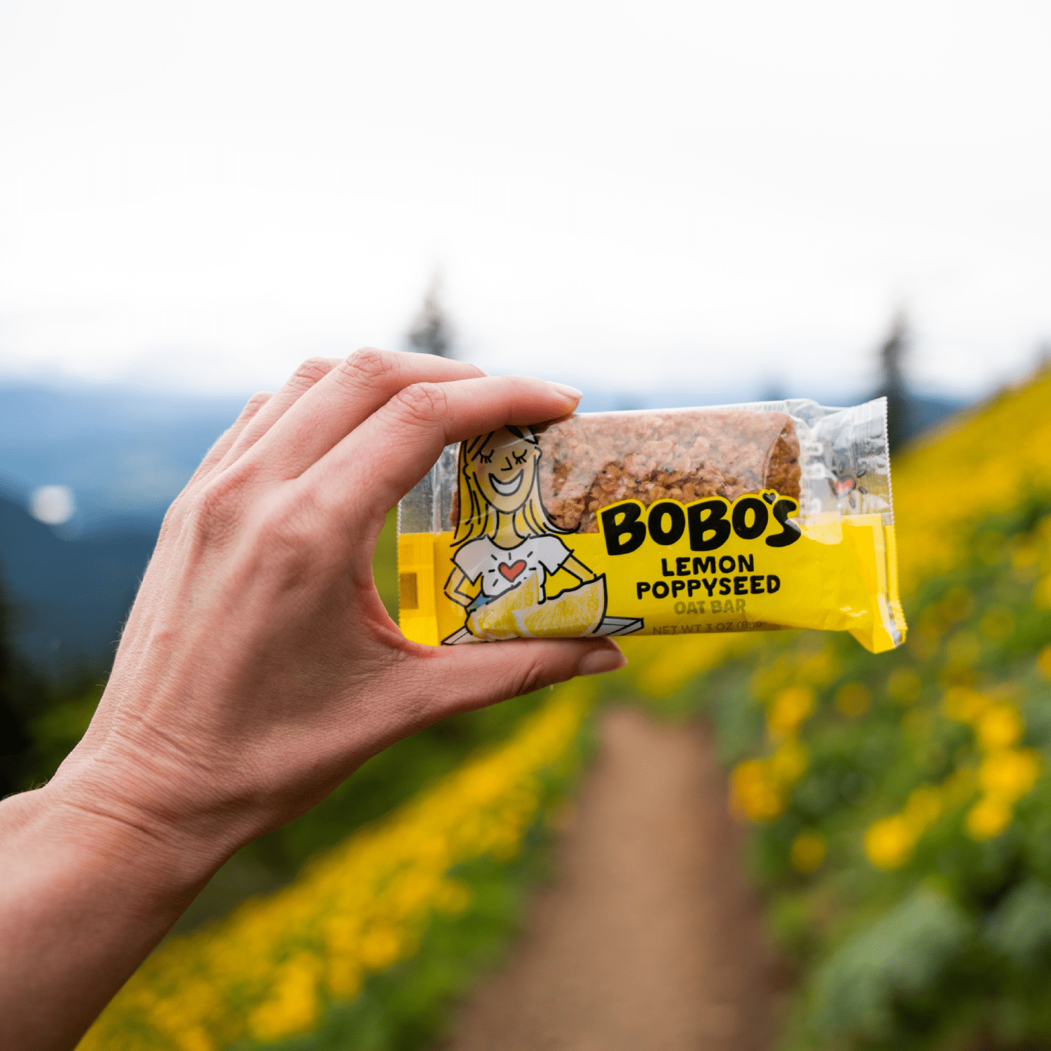 Bobo's Oat Bars, Gluten Free, Lemon Poppyseed, 3 Oz, 12 Count