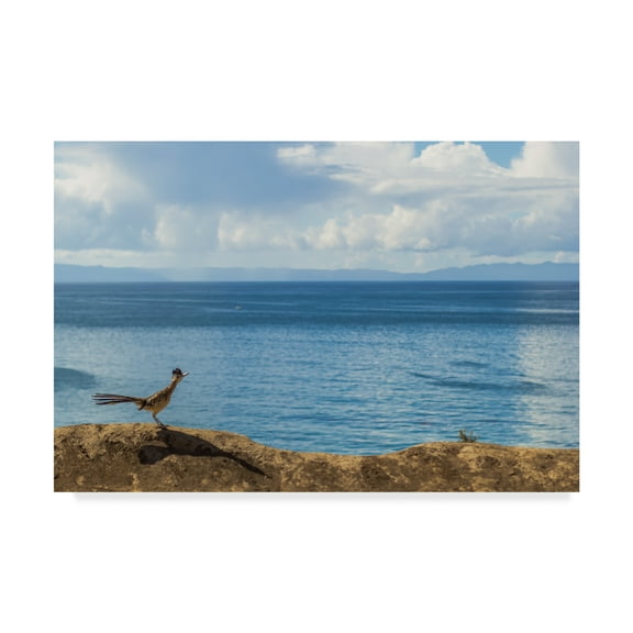 Trademark Fine Art 'Road Runner View' Canvas Art by Chris Moyer