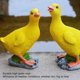 thumbnail image 4 of Adorno de Pato Pato Pequeño Adorno Acuático Estatua de Pato Estatuilla de Pato Escultura de Pato Estatuilla Estatua de Animal Decoración Adorno de Pato Regalos Estatuilla para ANGGREK Otros, 4 of 8