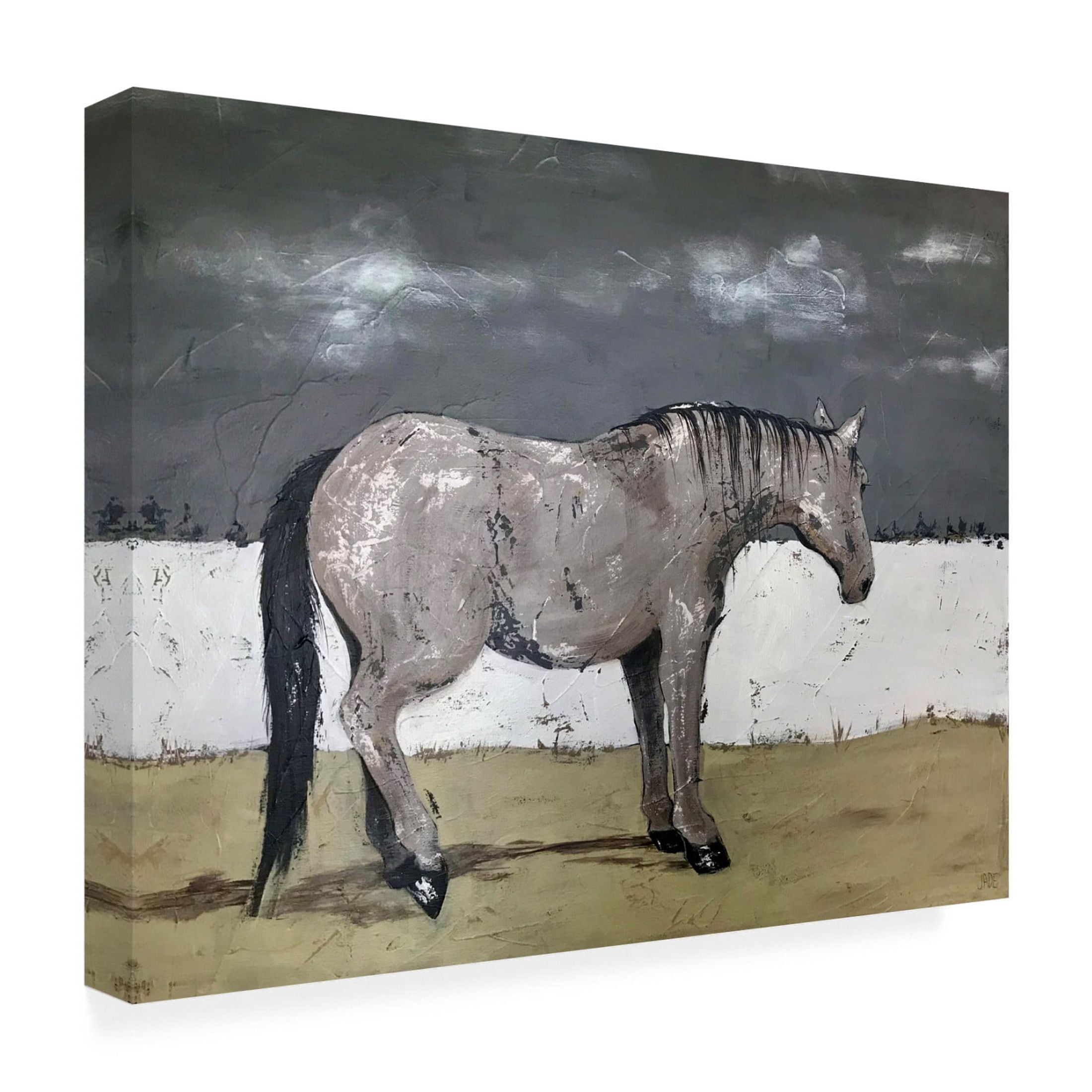 Trademark Fine Art Jade Reynolds Born Free II Canvas Wall Art