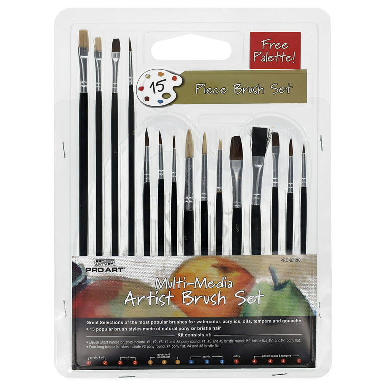 Pro Art Brush Set Multi Media W/Palette 15pc, Paint Brushes, Acrylic Paint  Brush Set, Paint Brushes Acrylic Painting, Small Paint Brushes, Paintbrush,  Acrylic Paint Brushes 