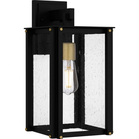 Quoizel Robbins 1-Light Matte Black Outdoor Wall Lantern