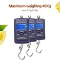 thumbnail image 2 of Portable Plastic Electric Digital Hanging Scale with Hook Tool Fishing Luggage Different Units Conversions, 2 of 7