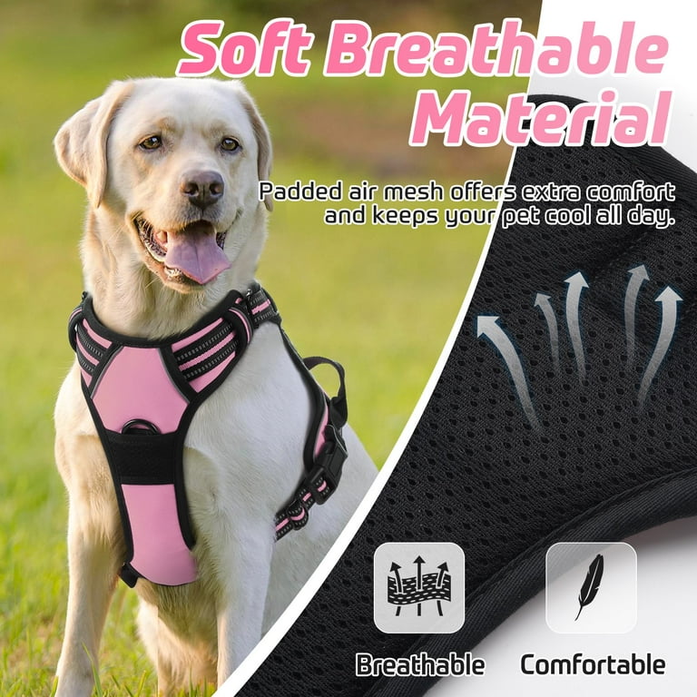 Extra large dog harness with outlet handle