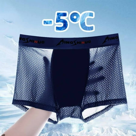 

ALSLIAO Mens Underwear Boxer Briefs Ice Silk Shorts Panties Breathable Pouch Underpants Blue XXL