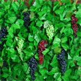 thumbnail image 2 of 2 Pcs,Artificial Grapes,Decorative Grapes,Fake Grapes,Realistic Grapes Decoration,Realistic Grapes,Simulated Artificial Fruit Grapes,For Fruit Display,Wine Decoration(Black/Agate), 2 of 5