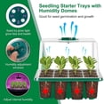thumbnail image 4 of LAPAMAX 5Pack Seed Starter Trays Kits With Grow Light, Adjustable Brightness & Humidity, for Greenhouse Seedlings, 4 of 9