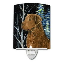 Caroline's Treasures SS8411CNL Starry Night Chesapeake Bay Retriever Ceramic Night Light, 6x4x3", multicolor