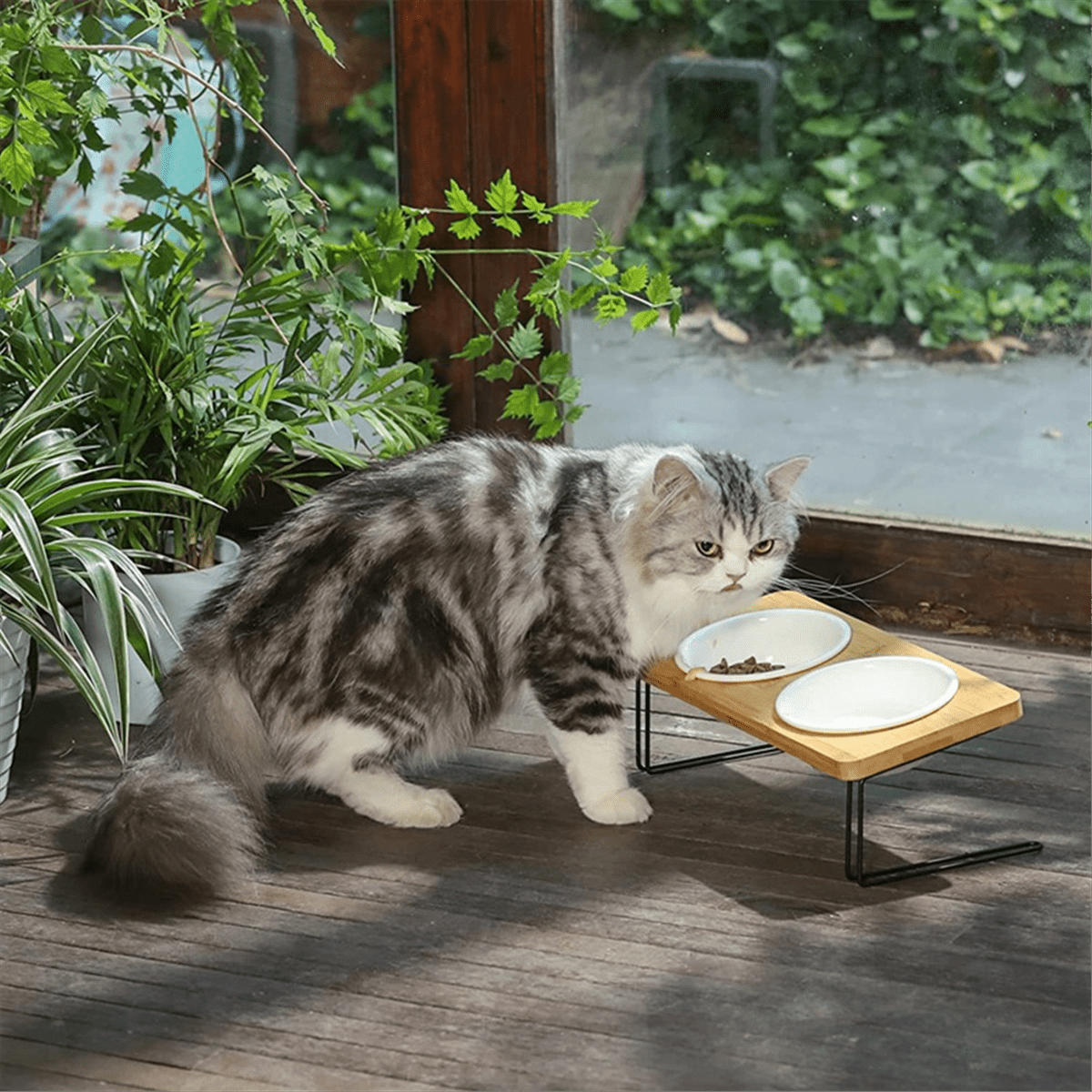 Elevated Cats Ceramic Bowls, Small Dog Food Feeding Dishes, Solid Bamboo Water Stand Feeder Set for Cats and Puppy