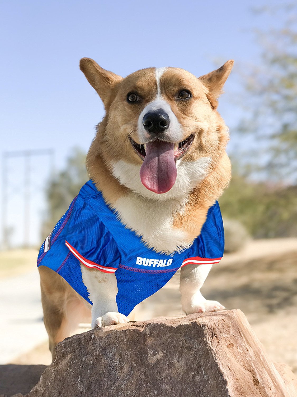 Pets First Buffalo Bills Pet Dog Sweater, Size: XL | PetSmart