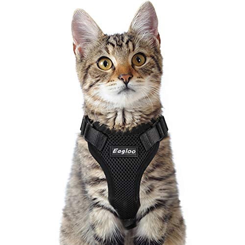 whisker city kitten harness