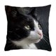 thumbnail image 2 of Spring Cute Pet Patterns Imitation Embroidery Cushion Cover Soft Throw Pillow Cover For Sofa And Chair Ideal Choice For Spring Easter Sofa And Bedroom Decor, 2 of 6
