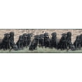 thumbnail image 1 of Dogs Wallpaper Border GL102693, 1 of 1