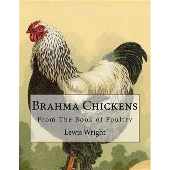 Pre-Owned Brahma Chickens: From the Book of Poultry (Paperback) by Lewis Wright, Jackson Chambers