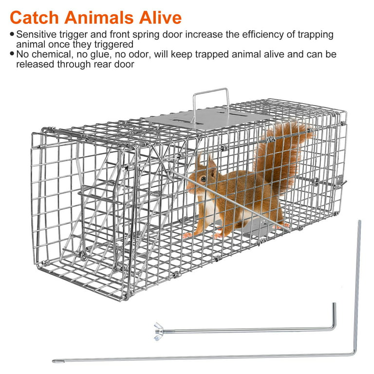 Catch and Release Humane Squirrel and Rodent Trap