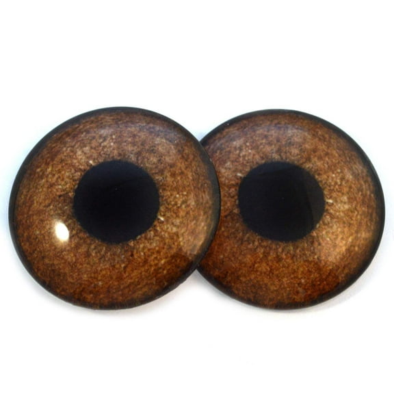 Griffon Brown Bird Glass Eyes