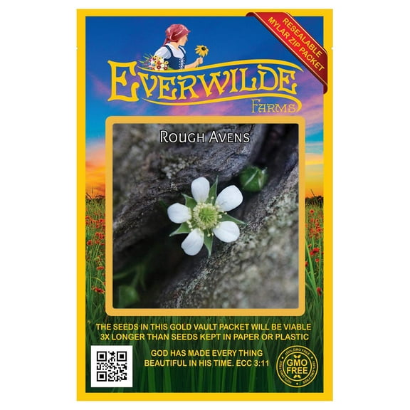 Everwilde Farms - 800 Rough Avens Native Wildflower Seeds - Gold Vault Jumbo Bulk Seed Packet