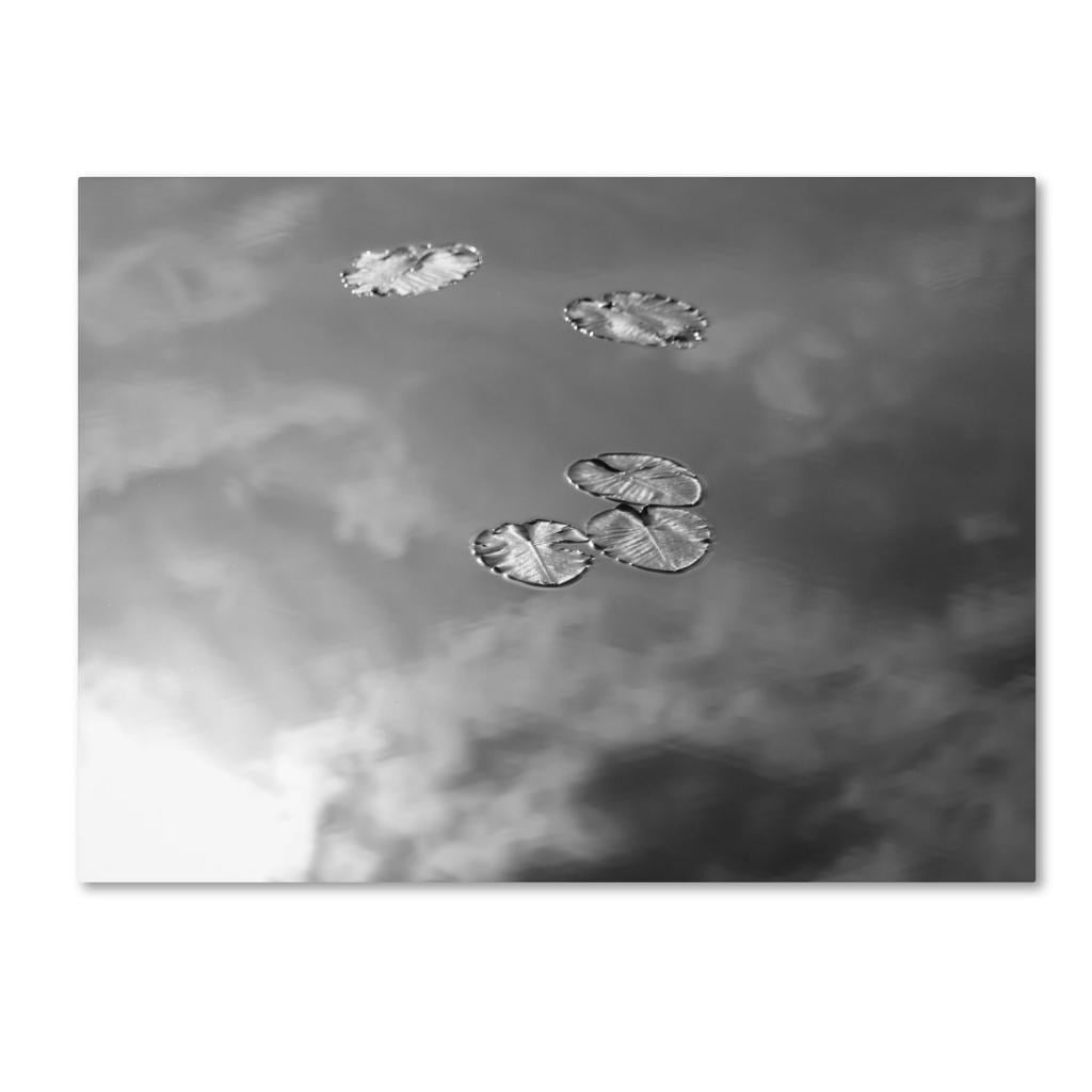 Trademark Fine Art "Lily Pads & Sky" Canvas Wall Art by Patty Tuggle