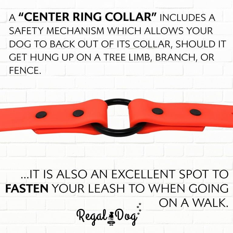 Regal Dog Products Reflective Waterproof Hunting Dog Collar with