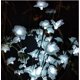 thumbnail image 2 of luces de cadena, 20 l, luces LED de flor de ciruelo, para exteriores, bodas, casas, jardines, patio, fiesta. Ormromra HMJM423-3, 2 of 4