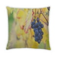 thumbnail image 2 of Ahgly Company Foods Fruits Outdoor Throw Pillow, 18 inch by 18 inch, 2 of 6