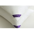 thumbnail image 4 of St. James Home 2 Pack Soft Knit SD Nano Pillow, Standard Size, 4 of 7