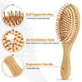 thumbnail image 2 of Pack of 2 Bamboo Hair Brushes, Natural Eco-friendly Hair Brush with Bamboo Bristles, Massages Scalp Anti-Static Hair Detangle for All Types, Lightweight (Oval), 2 of 6