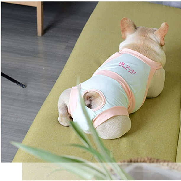 Best Deal for Cute Corgi Dog Sleeping Full Coverage Underwear For Women