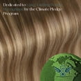 thumbnail image 2 of Easyouth Clip in Hair Extensions Human Hair Balayage Human Hair Clip in Extensions Brown Ombre Blonde Hair Extensions Clip in Real Human Hair 20 Inch Hair-, 2 of 9