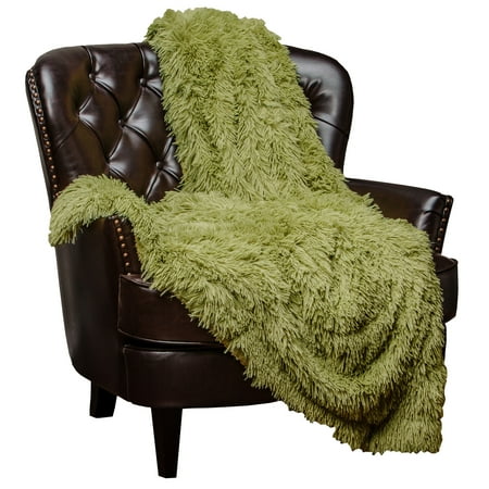 Chanasya Super Soft Shaggy Longfur Throw Blanket | Snuggly Fuzzy Faux Fur Lightweight Warm Elegant Cozy Plush Sherpa Fleece Microfiber Blanket | For Couch Bed Chair Photo Props - 50  x 65  - Green