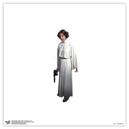 Gallery Pops Star Wars: Saga – Princess Leia Wall Art Unframed Version 12 x 12