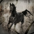 thumbnail image 2 of LightBoxJournal 15x15 Gold Ornate Wood Framed with Double Matting Museum Art Print Titled - GypsyHorse Collection V1 3, 2 of 4
