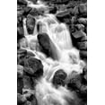 thumbnail image 2 of Taylor, Douglas 23x32 Black Ornate Wood Framed with Double Matting Museum Art Print Titled - Trailside Waterfall I BW, 2 of 4
