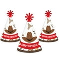 thumbnail image 7 of Big Dot of Happiness Western Hoedown - Cone Happy Birthday Party Hats for Kids and Adults - Set of 8 (Standard Size), 7 of 7