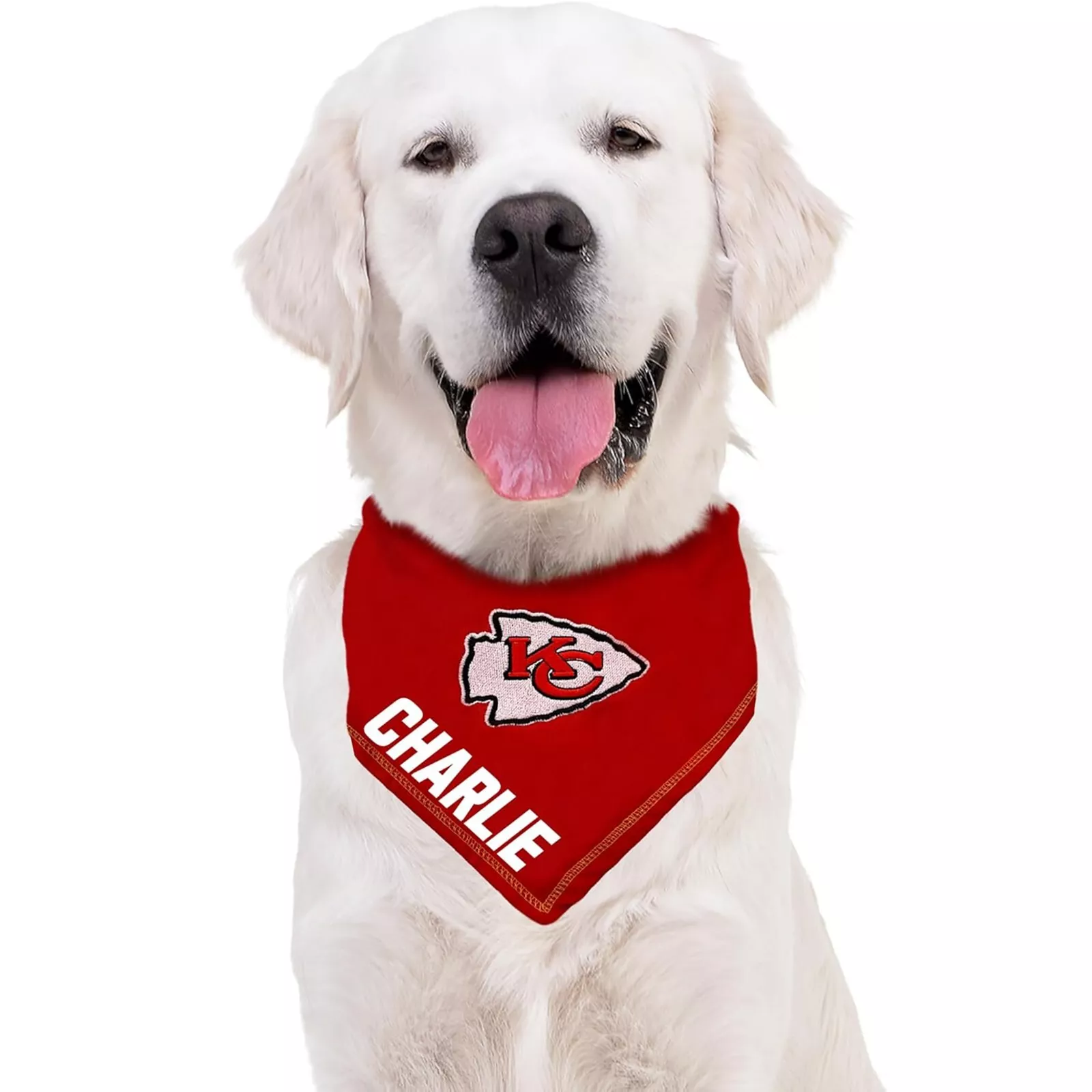 Pets First NFL Personalized Tie Bandana for Dogs & Cats Customizable Dog Bandana