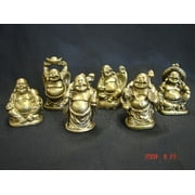 6 Golden Chinese Money Laughing Buddha Statues Figurines